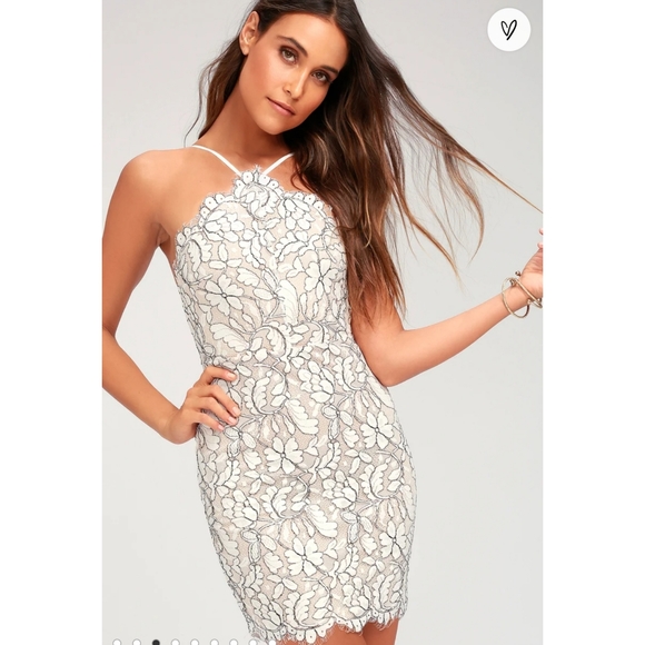 Delicate Darling Beige and Ivory Lace Bodycon Dress - Picture 5 of 12